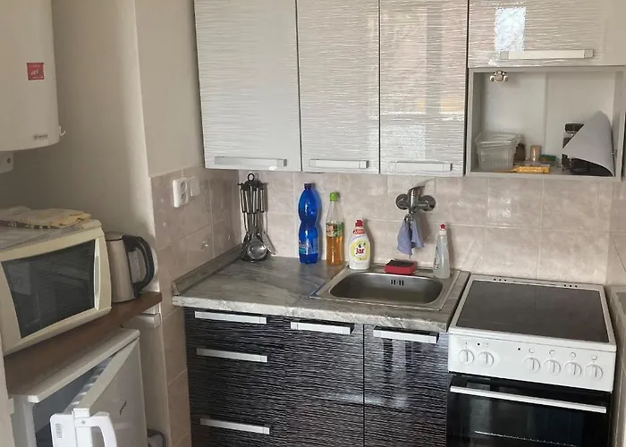 Ve Velkych Losinach Appartement